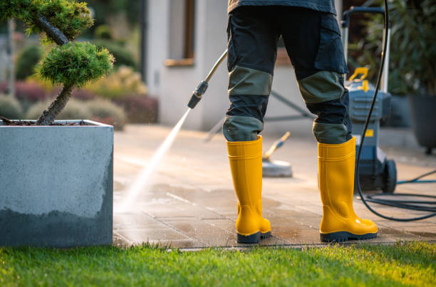 Best Roof Pressure Washing  in Dickson City, PA